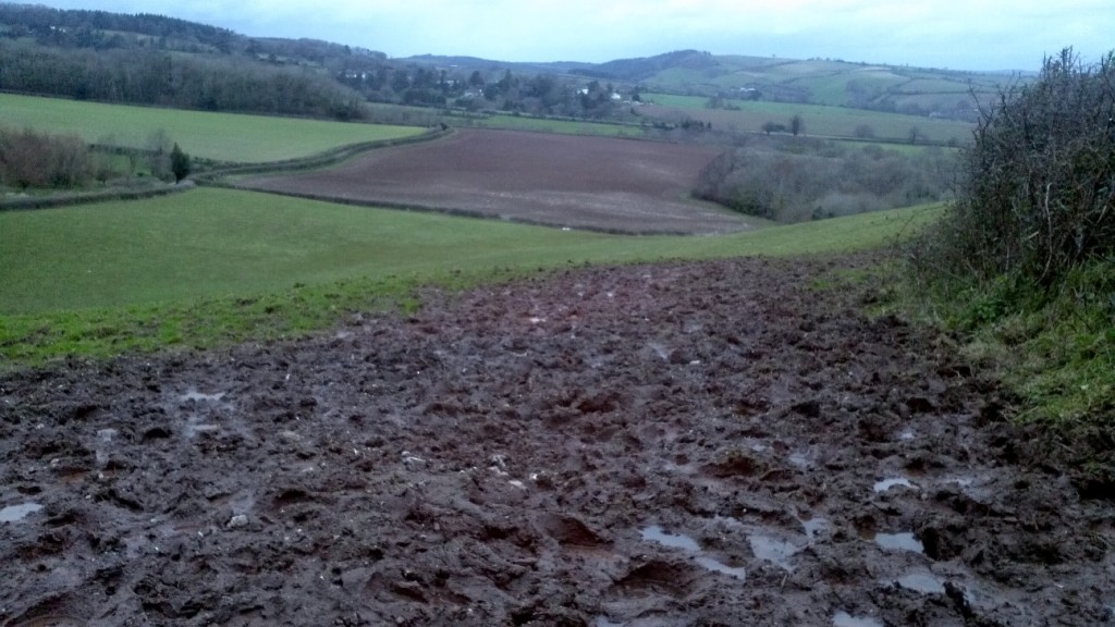 The fields by Jim's lane on February 24th 2014